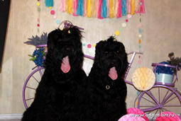      ()    () –       KiDS CLUB!