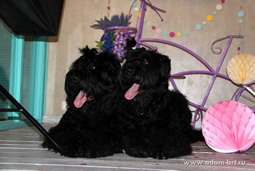      ()    () –       KiDS CLUB!