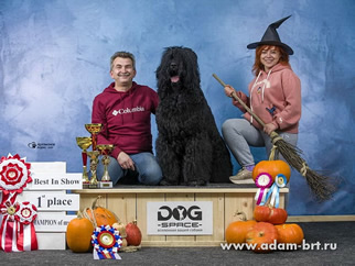     () -   ! BEST IN SHOW!