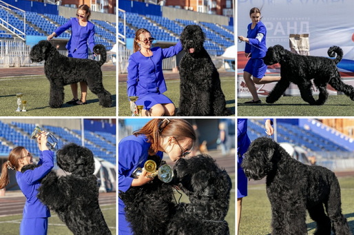     () -      !     !   !