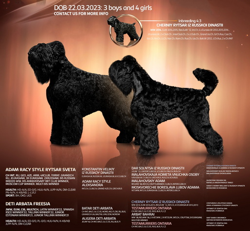       !    .      ()    ()     ()