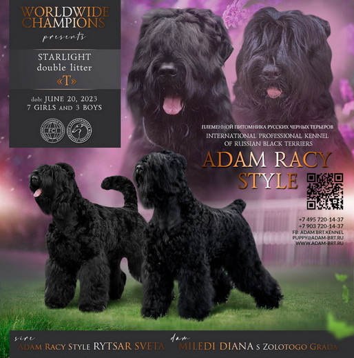       !  ,   !      .      ()      