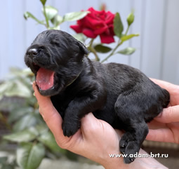       !    !      .     () +   ()   