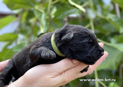       !    !      .     () +   ()   