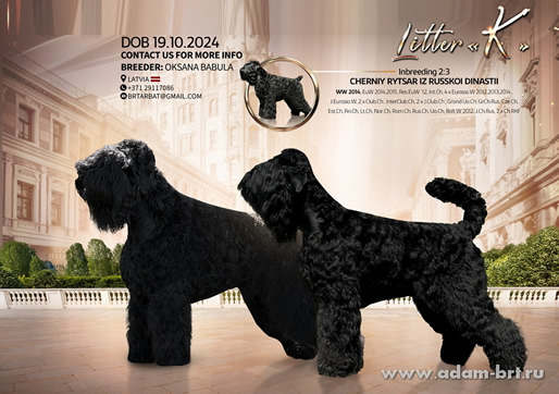       ,   !      .     () +   