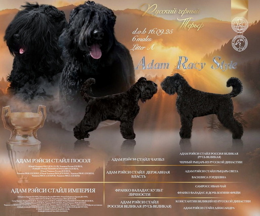   ,      .      .          -   