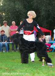 Всеороссийская выставка ранга САС