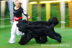 АДАМ + БОРИСЛАВА