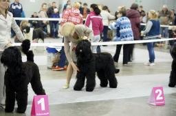 АДАМ + БОРИСЛАВА