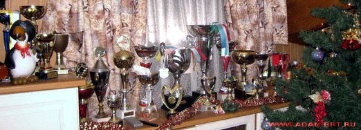 АДАМ - ПОБЕДЫ 2008!