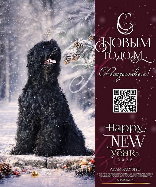 � ����� 2026 �����, ������! � ����������! ���� ����� ����� ���������