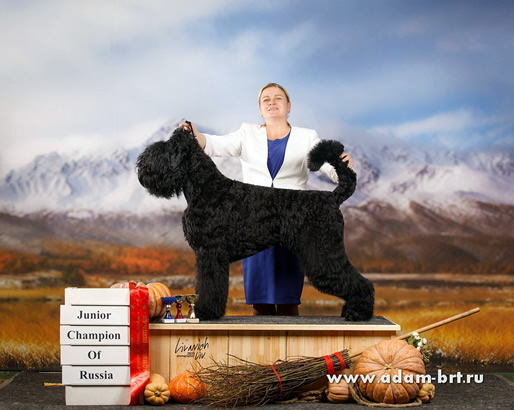     -   !      !     !   !    !