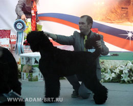 Adam Racy Style БЕРЕНИС