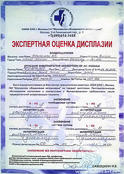      -  : HD-A/A, : ED-0/0