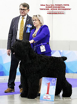      -    (HD-A/A, ED-0/0)!