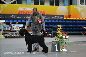 ADAM RACY STYLE БЕРЕНИС