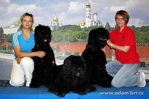   ,            ADAM RACY STYLE!