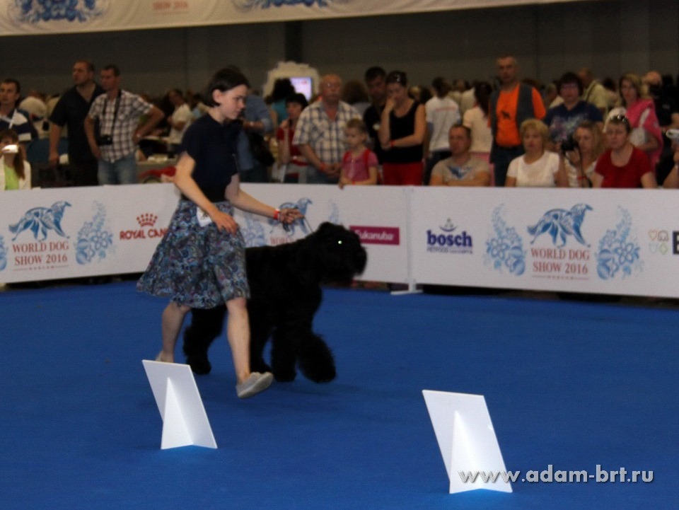    , 2  –  ,  ,VERY GOOD!!!