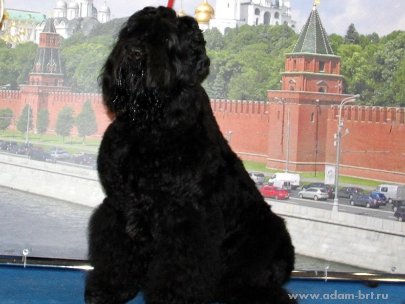     –  , , EXCELLENT!!! 