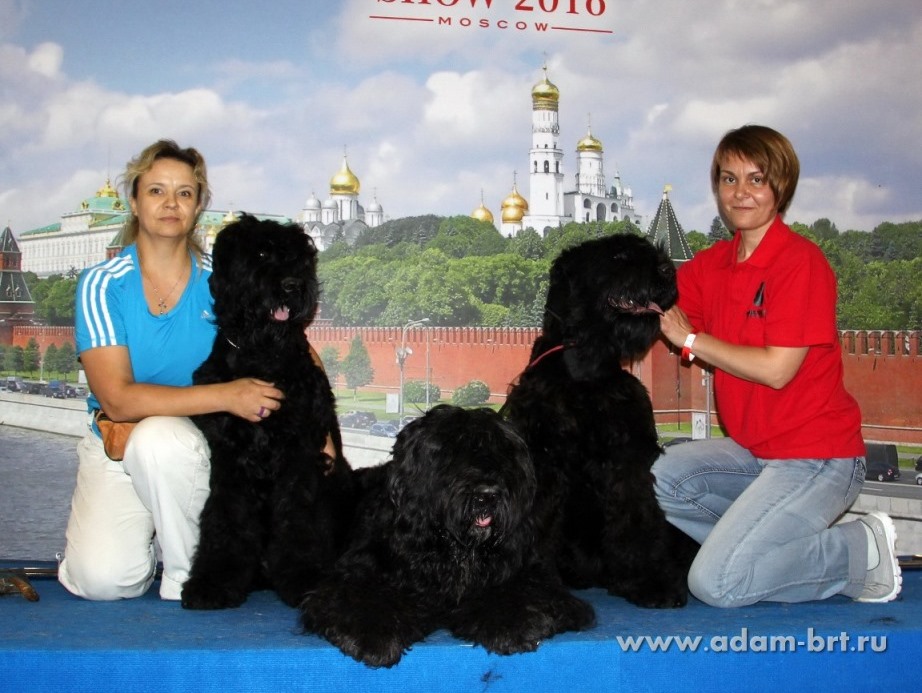    , 6  –  ,  ,    !!!
    , 6  –  ,  ,        “”!!!
    –  , , EXCELLENT!!!